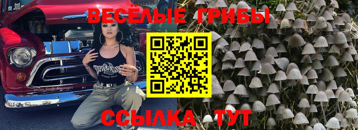 что такое наркотик  Вход с VPN  Электросталь  Галлюциногенные грибы ЛСД  Псилоцибиновые грибы Psilocybe 